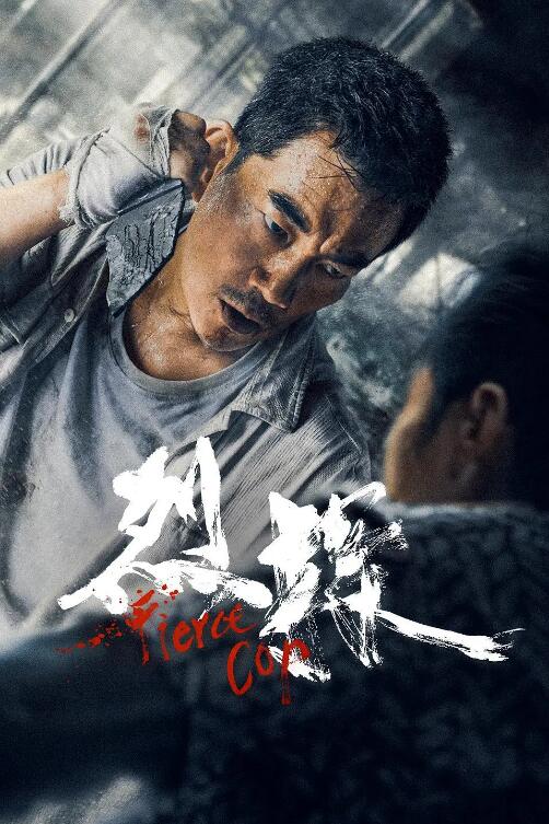 《表妹2017》